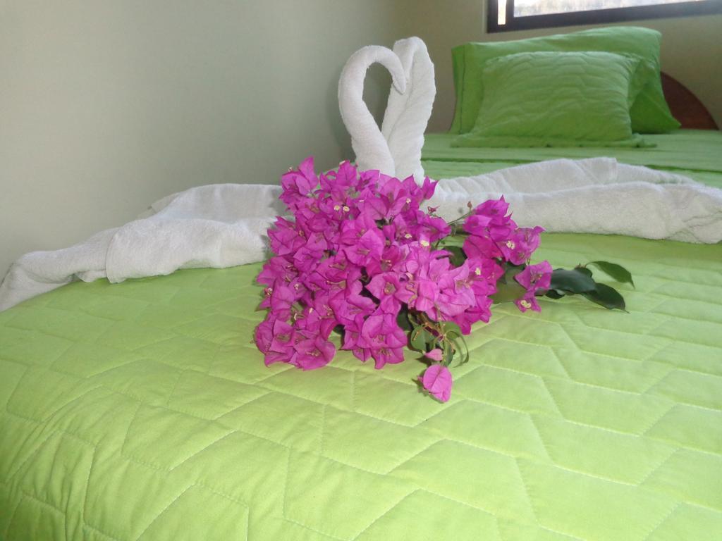 Hostal Casa Cascada ปูแอร์โตอาโยรา ภายนอก รูปภาพ